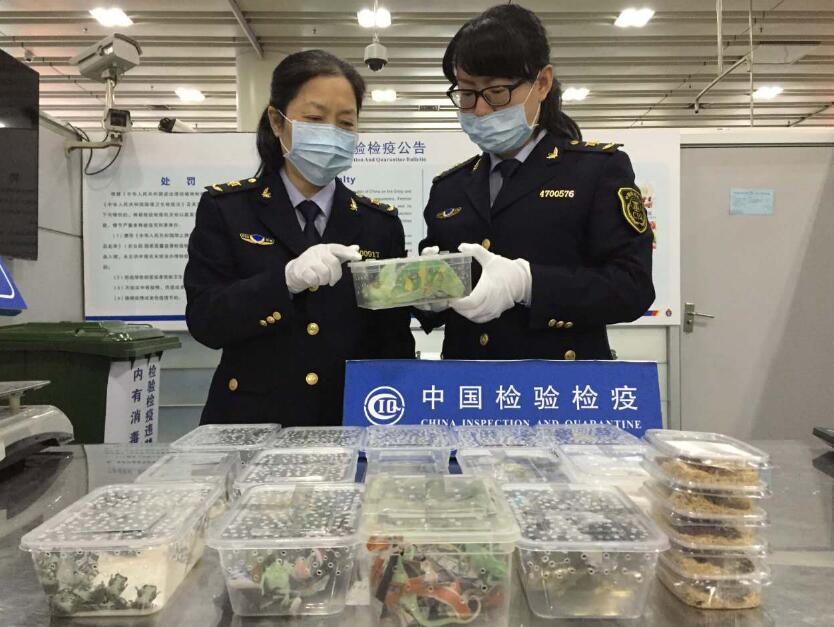 约车深圳福田口岸预约车接送